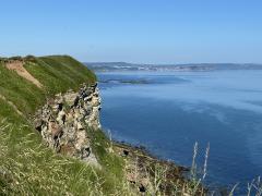 Scarborough in the distance - taken between North Cliff and Newbiggin Cliff